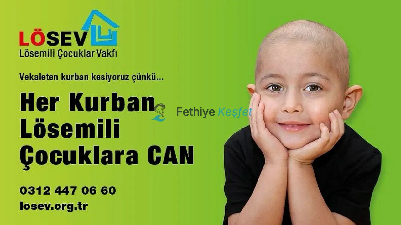 LÖSEV 2026 Kurban Bayramı İçin Kampanya Başlattı
